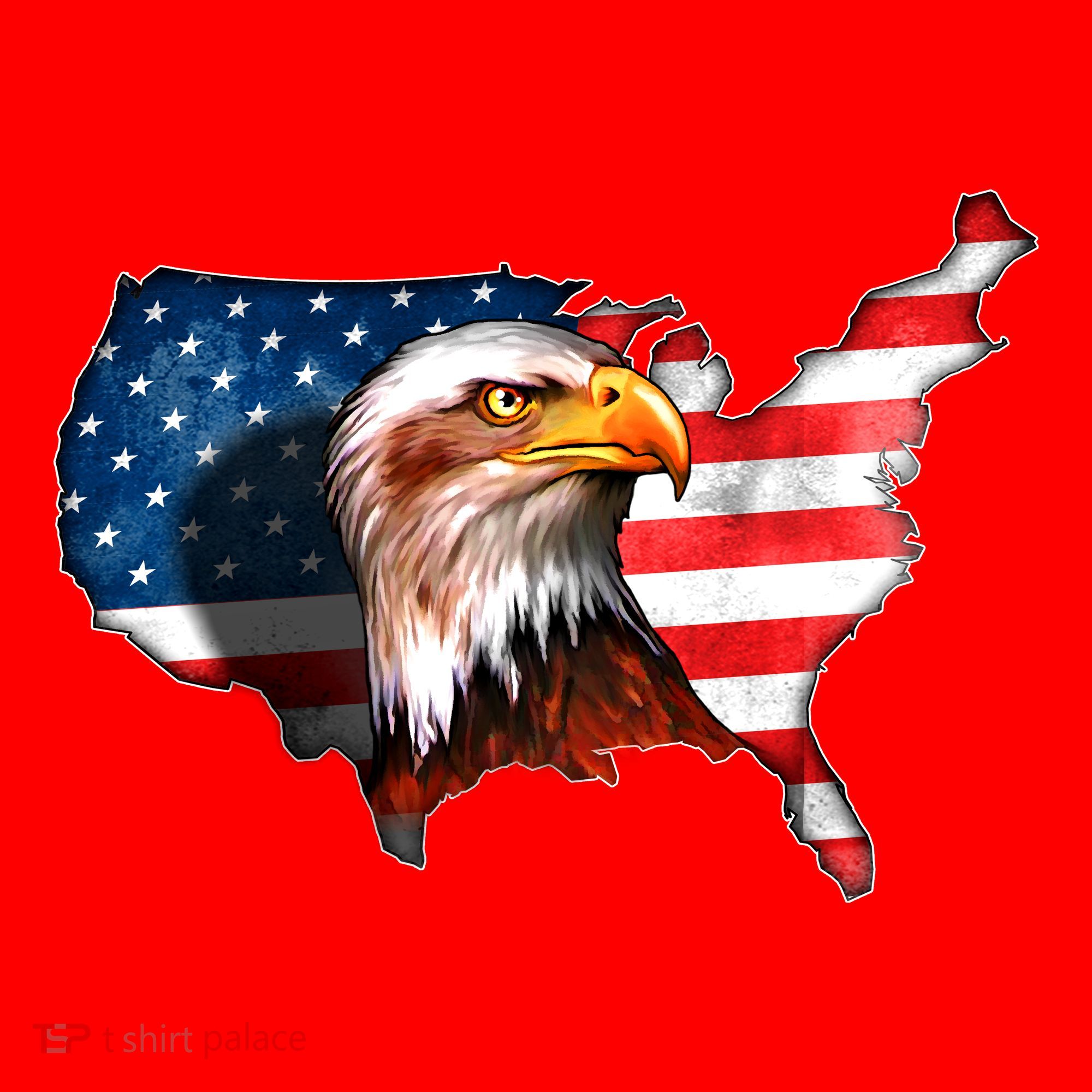 United States Of America Bald Eagle Santa Hat