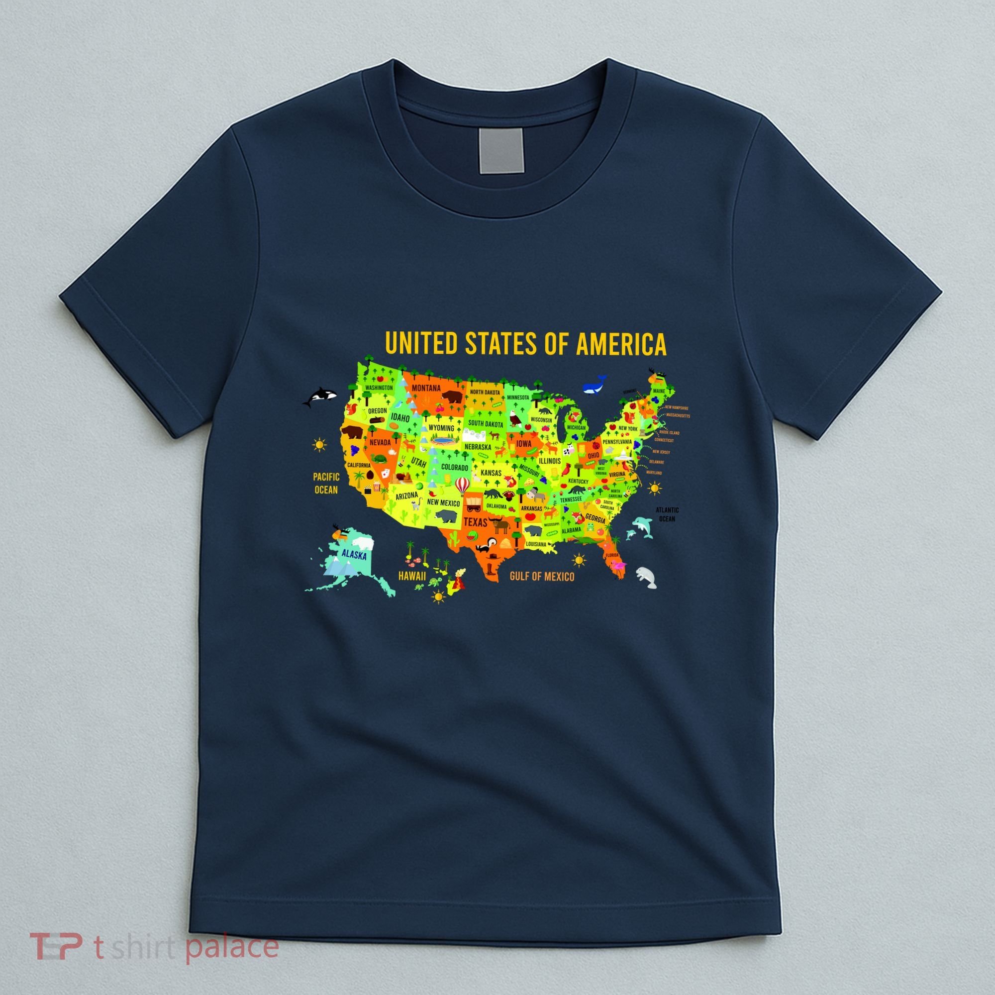 United States Of America Colorful Illustration T-Shirt