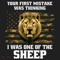 United States Patriot Your First Mistake Hat thumb 2