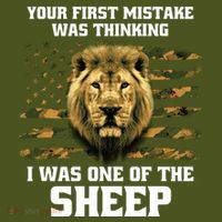 United States Patriot Your First Mistake T-Shirt thumb 7