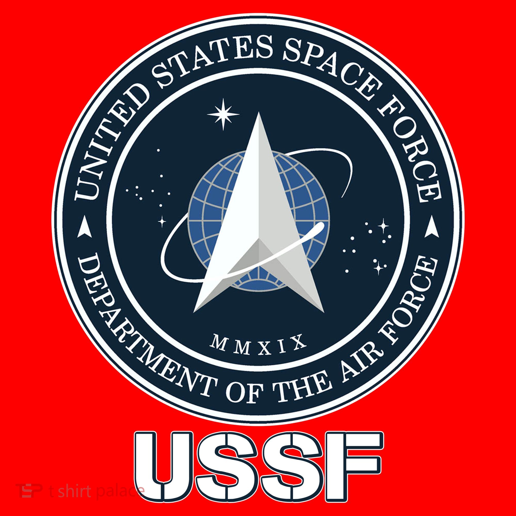 USSF Space Force Dept Of The Air Force Logo Santa Hat