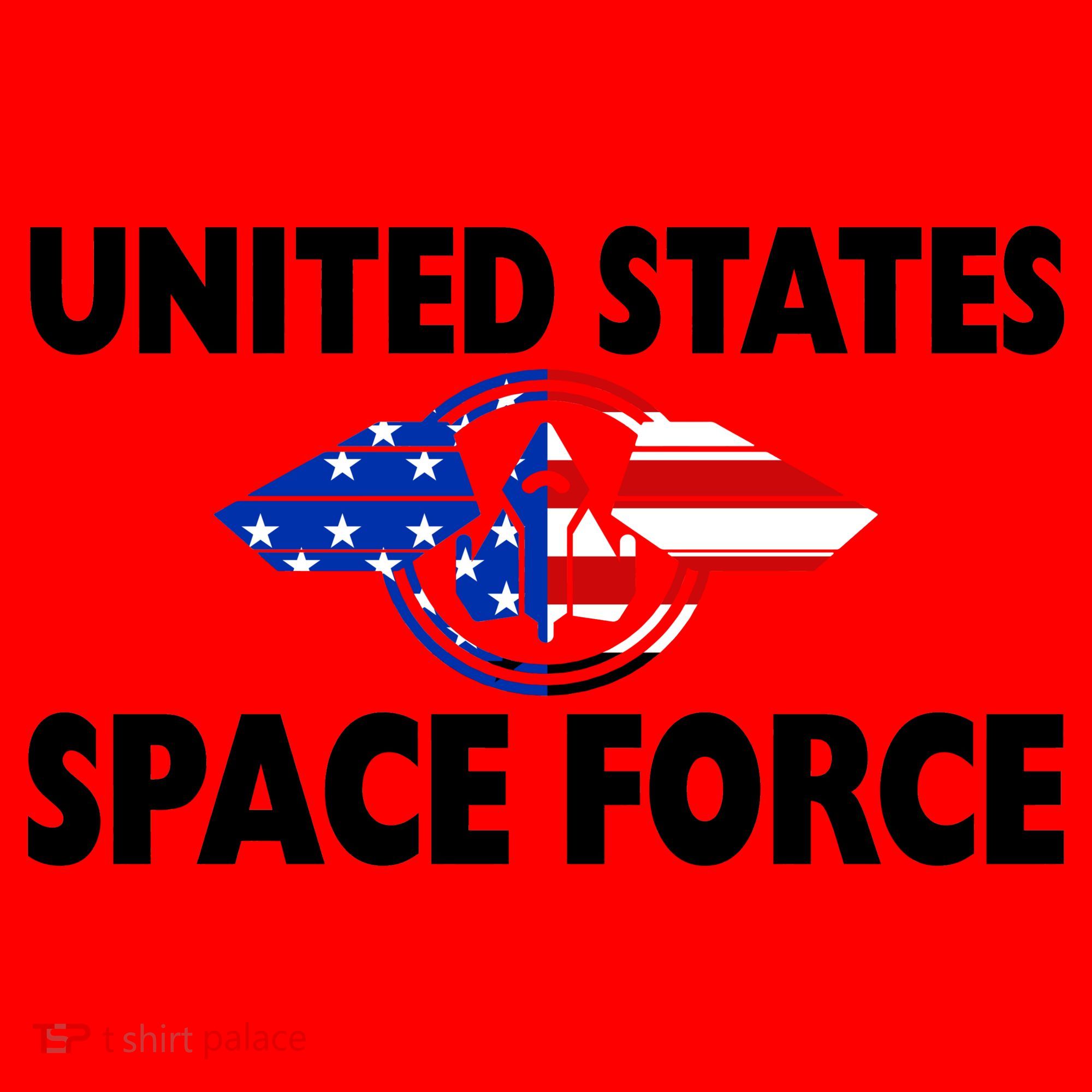 USSF United States Space Force Santa Hat