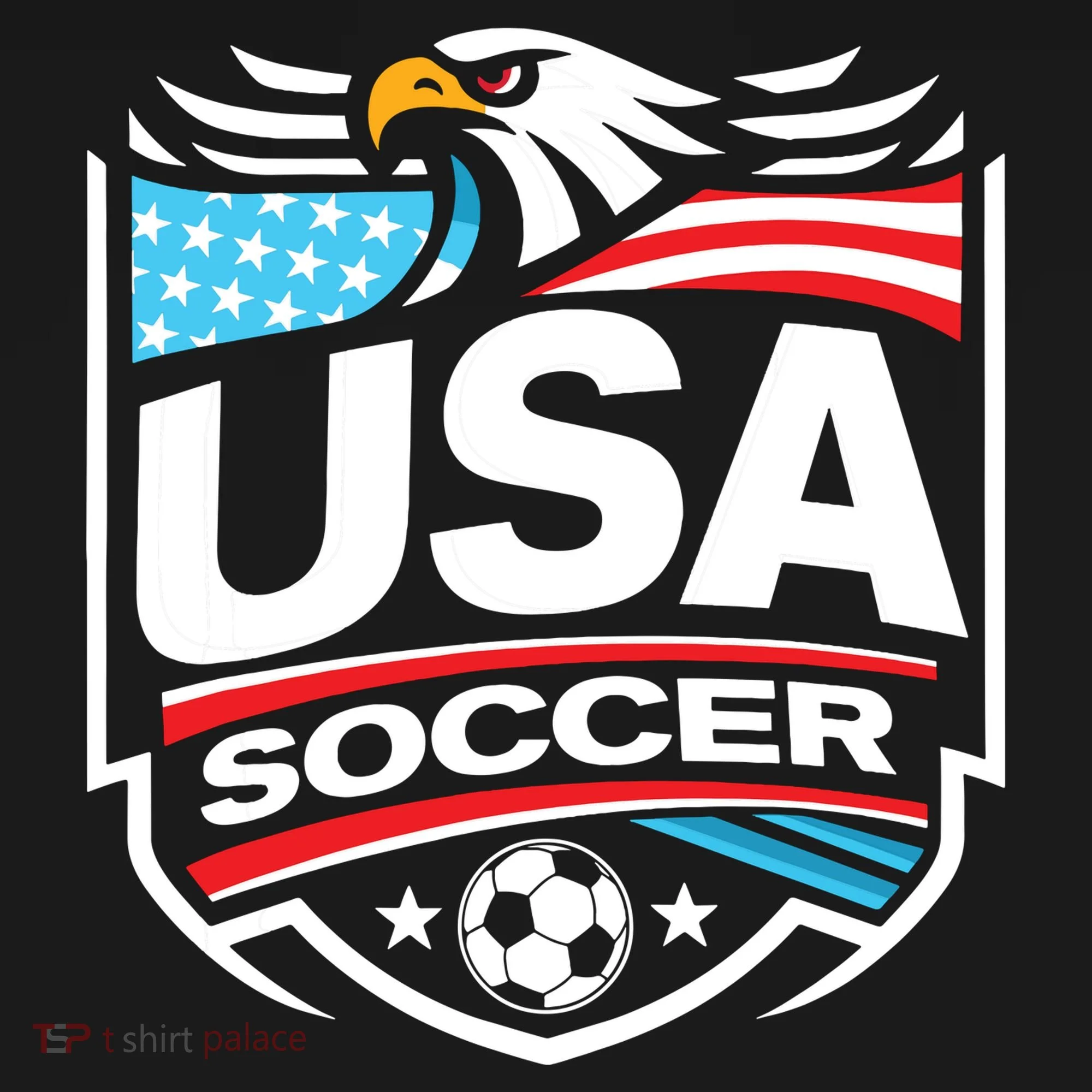 Usa Soccer Women's Hoodie