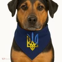 Ukraine Trident Coat Of Arms Flag Ukrainian Pride USA-Made Doggie Bandana thumb 1