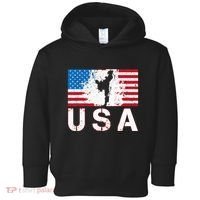 Usa Taekwondo Team American Flag Us Martial Toddler Hoodie thumb 0