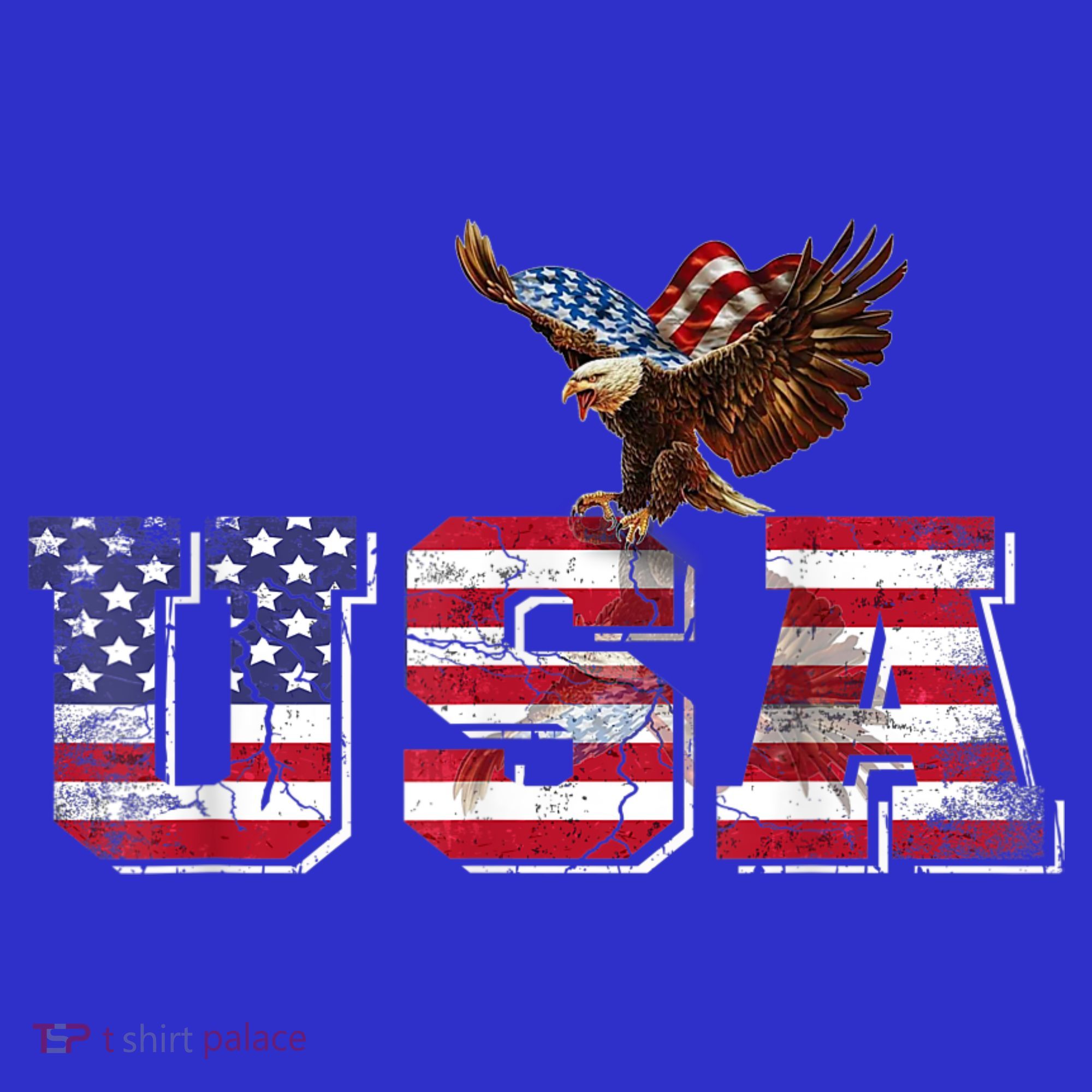 USA US American Flag Patriotic 4th Of July Bald Eagle Merica T-Shirt