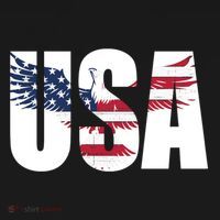 Usa Us Eagle Flag Patriotic Proud To Be An American Great Gift Ornament thumb 1