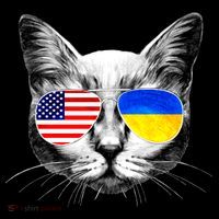 USA Ukraine Flags Sunglasses Cat Women's Hoodie thumb 2