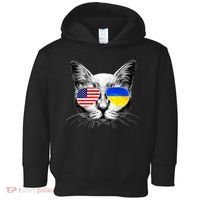 USA Ukraine Flags Sunglasses Cat Toddler Hoodie thumb 0