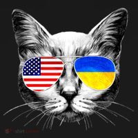 USA Ukraine Flags Sunglasses Cat Women's T-Shirt thumb 6