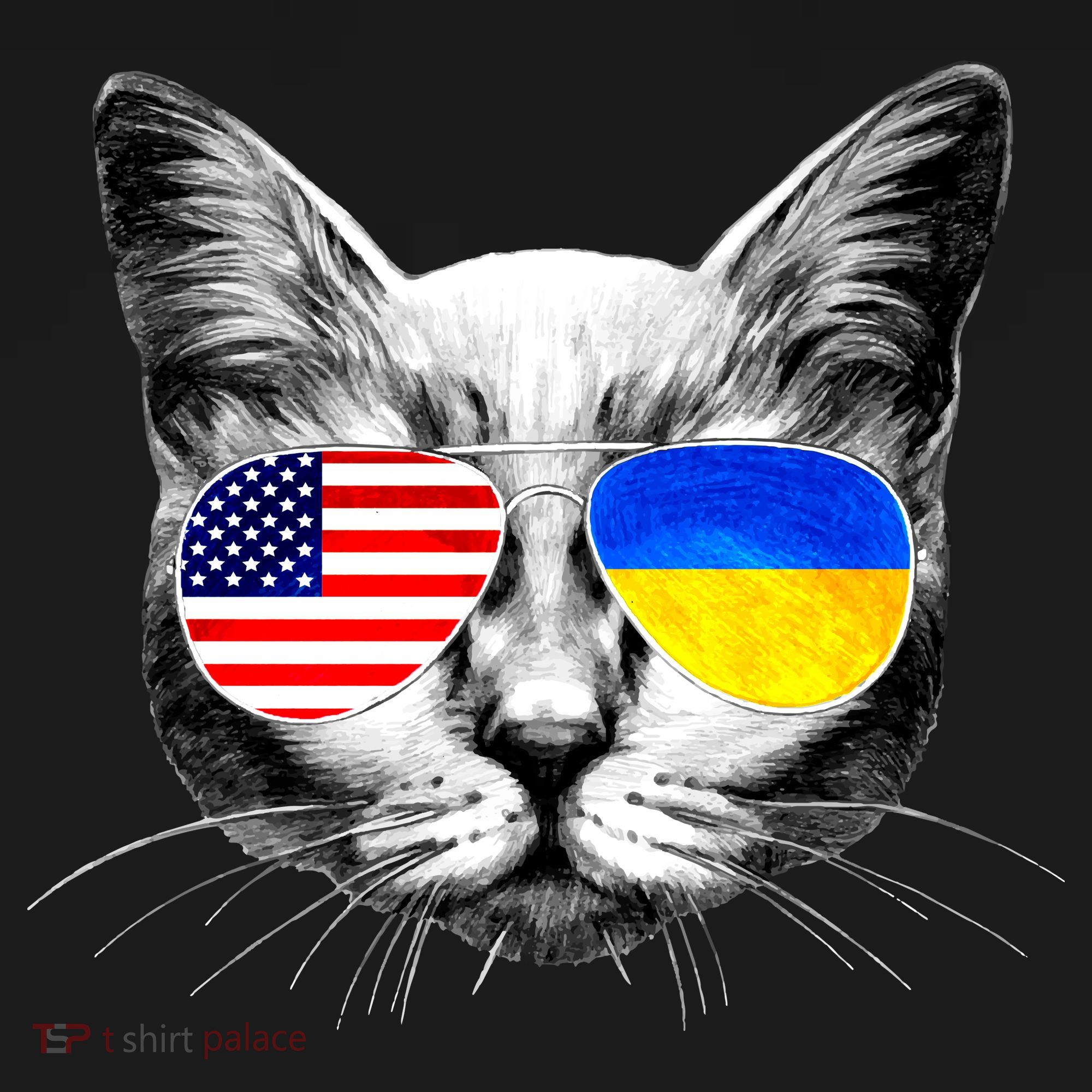 USA Ukraine Flags Sunglasses Cat Women's T-Shirt