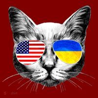 USA Ukraine Flags Sunglasses Cat Beanie thumb 2