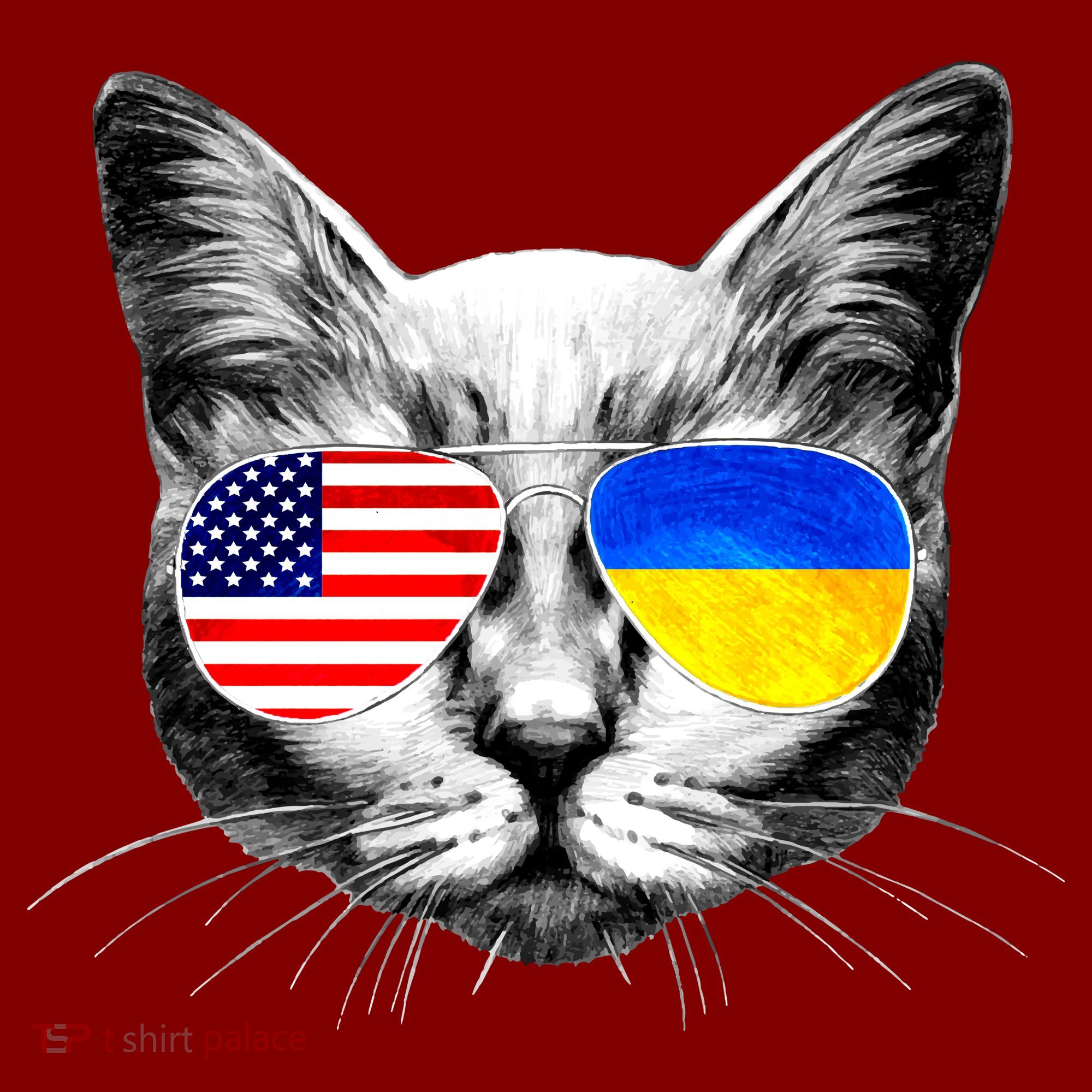 USA Ukraine Flags Sunglasses Cat Kids Sweatshirt