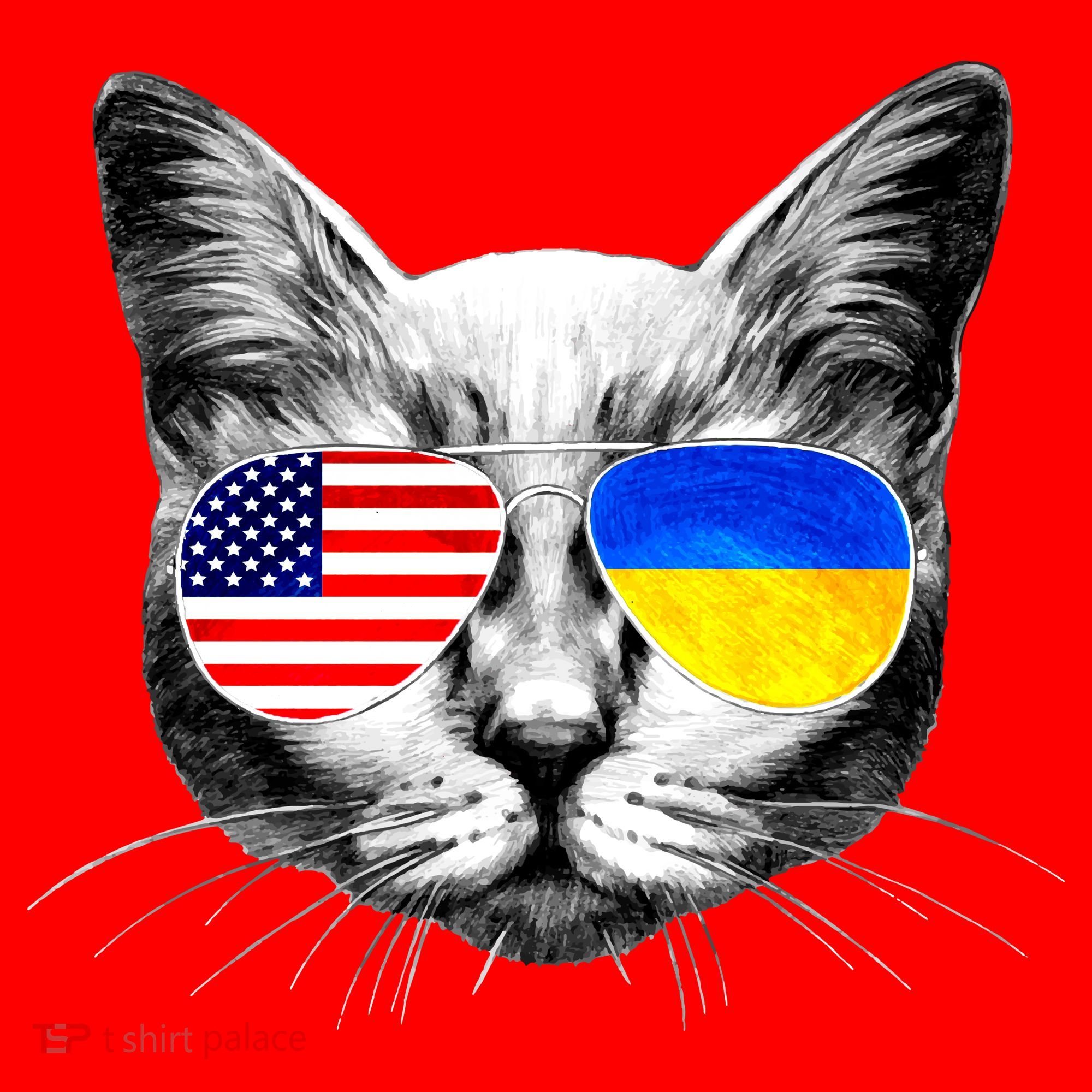 USA Ukraine Flags Sunglasses Cat Santa Hat