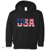 Usa Toddler Hoodie thumb 0