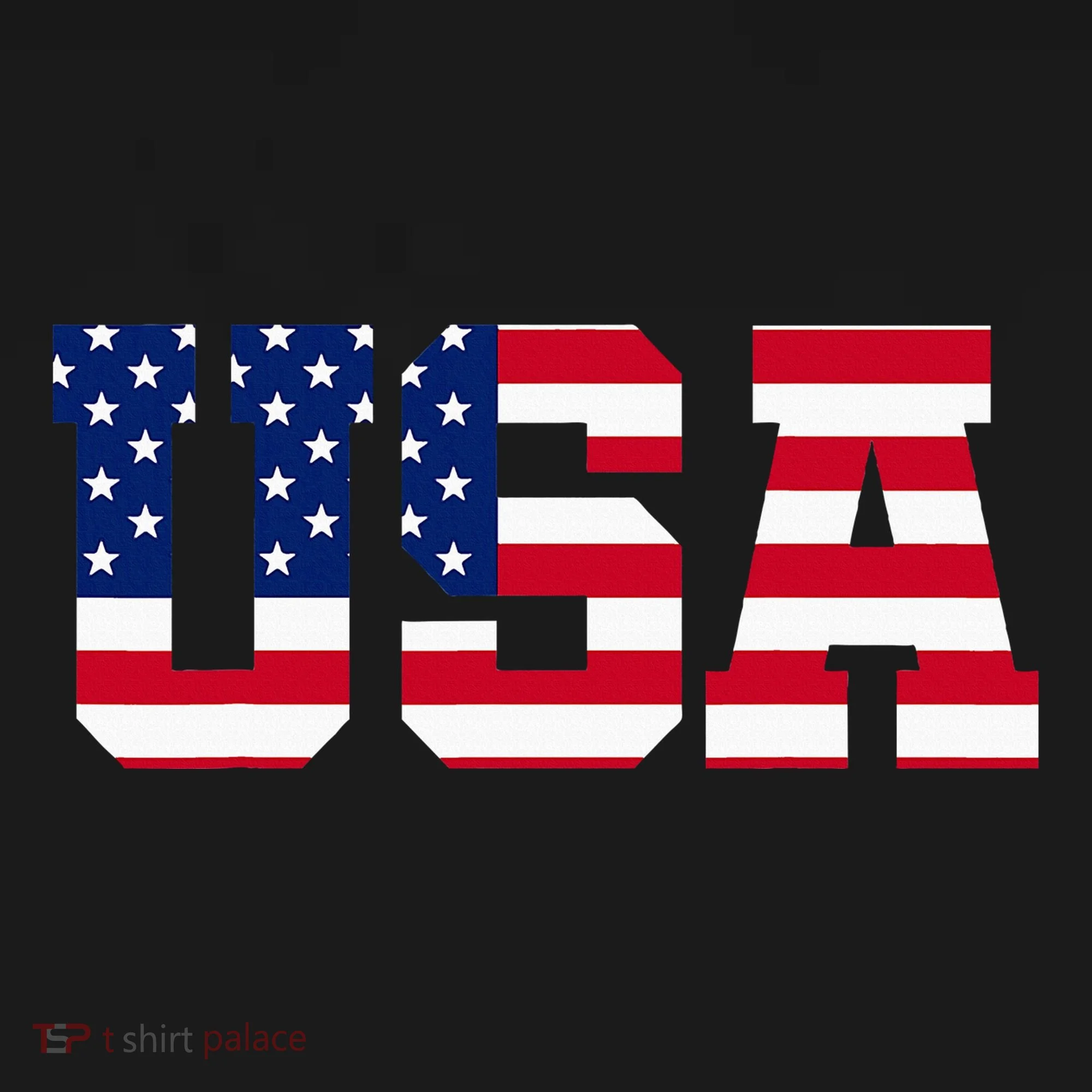 Usa Women's Long Sleeve Shirt