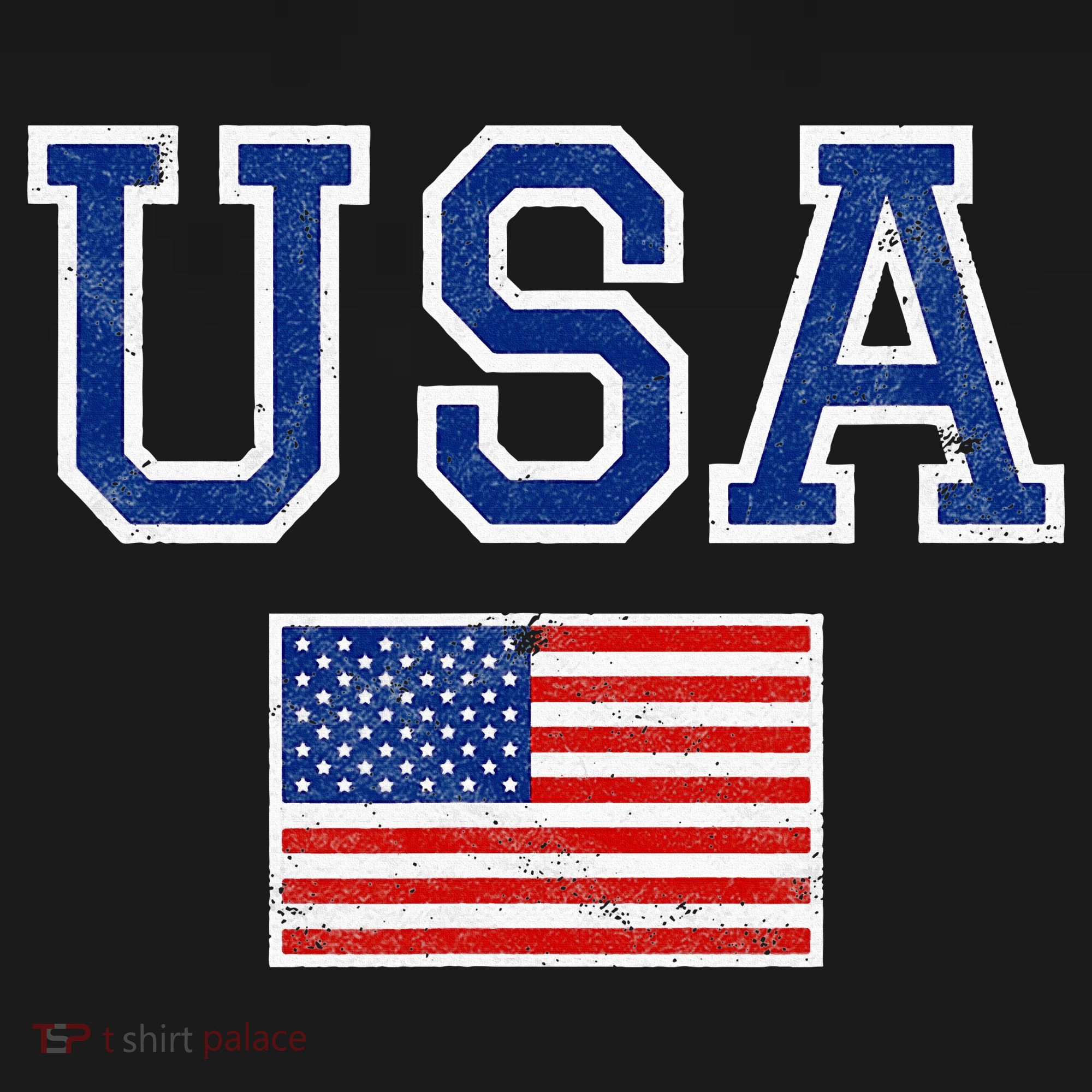 Usa T-Shirt