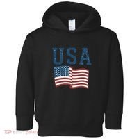USA Toddler Hoodie thumb 0