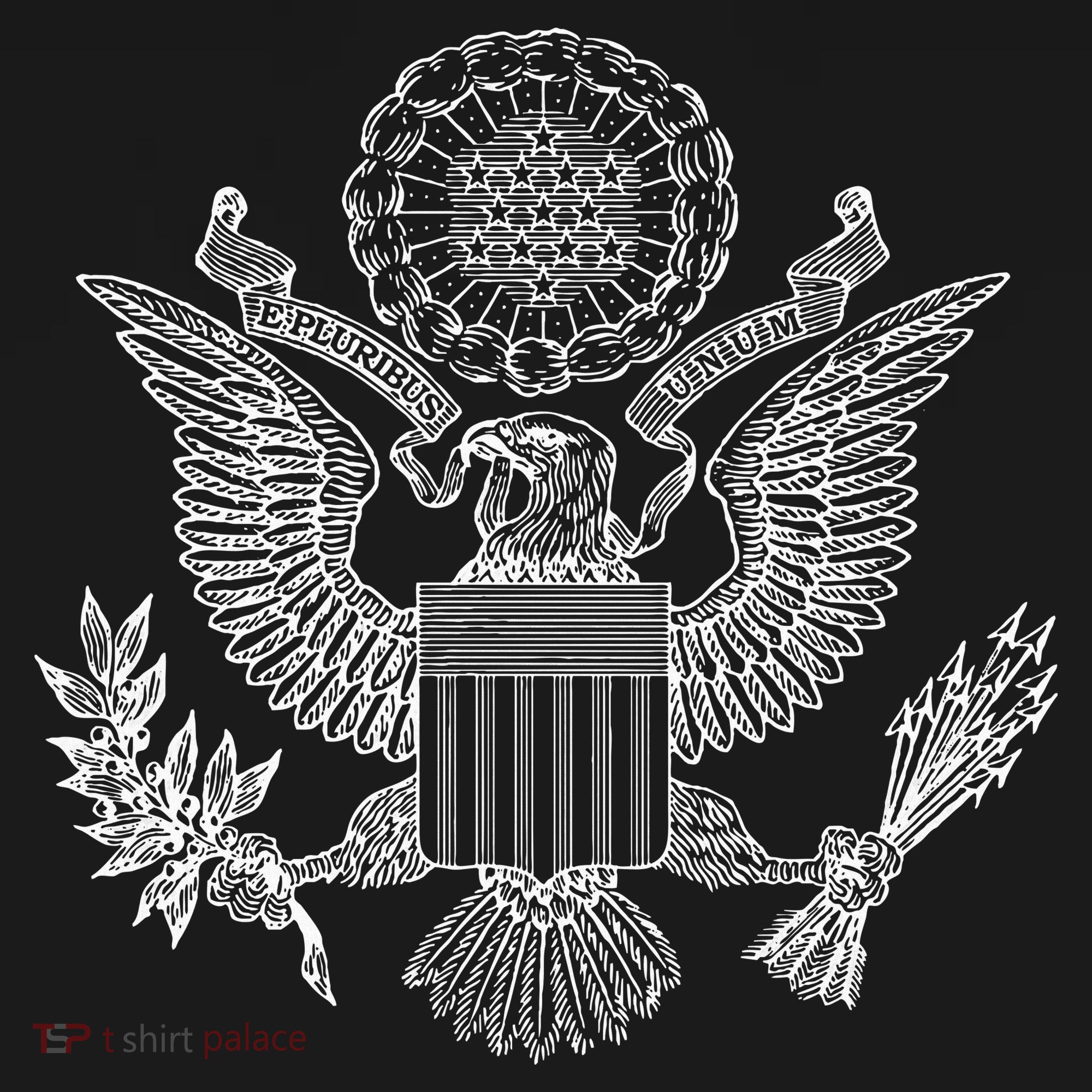 Usa United States Eagle Symbol American Arms Seal Kids T-Shirt