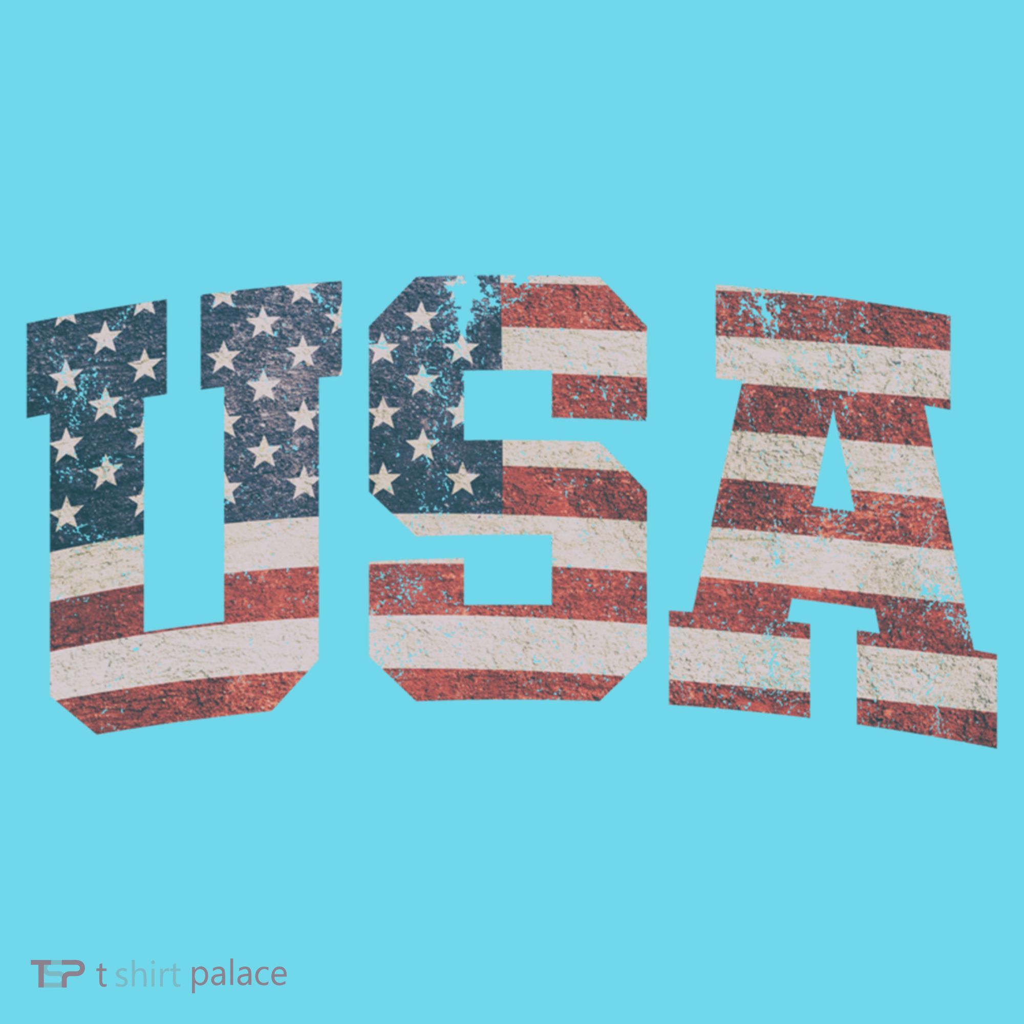 Usa Vintage Flag Great Gift T-Shirt