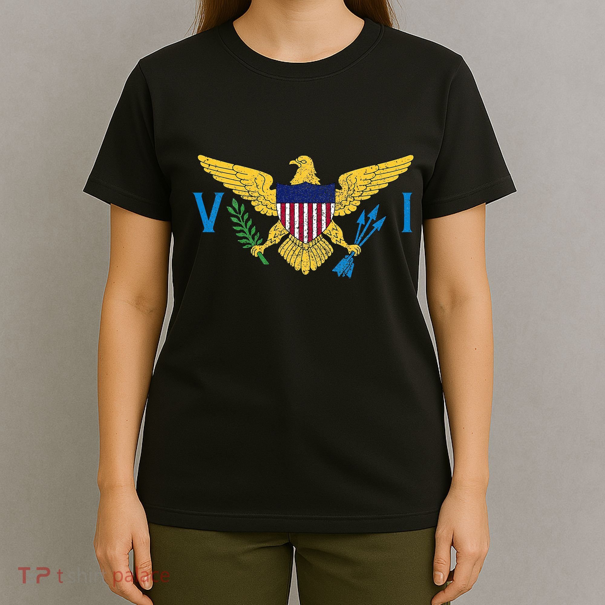 Us Virgin Islands Usvi Flag Pride Souvenir T-Shirt