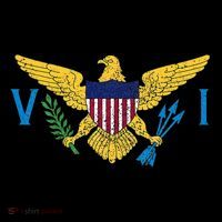 Us Virgin Islands Usvi Flag Pride Souvenir Women's Hoodie thumb 2