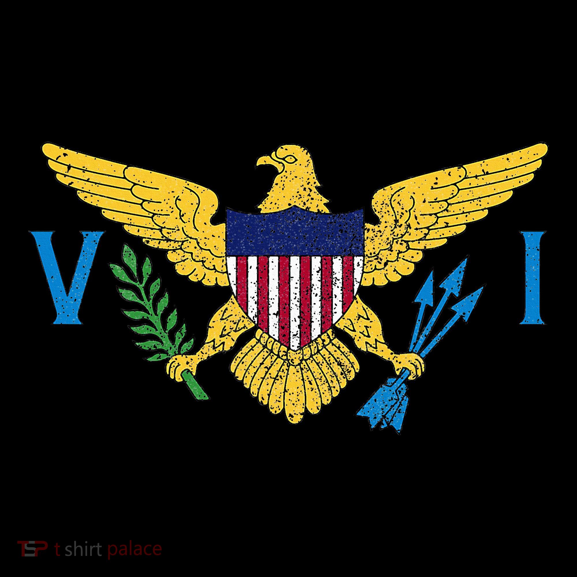 Us Virgin Islands Usvi Flag Pride Souvenir Women's Hoodie
