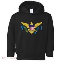 Us Virgin Islands Usvi Flag Pride Souvenir Toddler Hoodie thumb 0