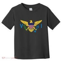 Us Virgin Islands Usvi Flag Pride Souvenir Toddler T-Shirt thumb 0