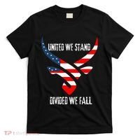 United We Stand Divided We Fall Usa Flag T-Shirt thumb 0