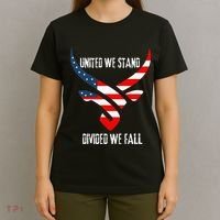 United We Stand Divided We Fall Usa Flag T-Shirt thumb 4