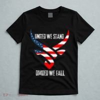 United We Stand Divided We Fall Usa Flag T-Shirt thumb 5