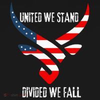 United We Stand Divided We Fall Usa Flag Women's Hoodie thumb 2