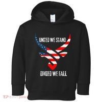 United We Stand Divided We Fall Usa Flag Toddler Hoodie thumb 0