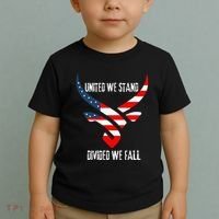 United We Stand Divided We Fall Usa Flag Toddler T-Shirt thumb 2