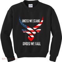 United We Stand Divided We Fall Usa Flag Kids Sweatshirt thumb 0