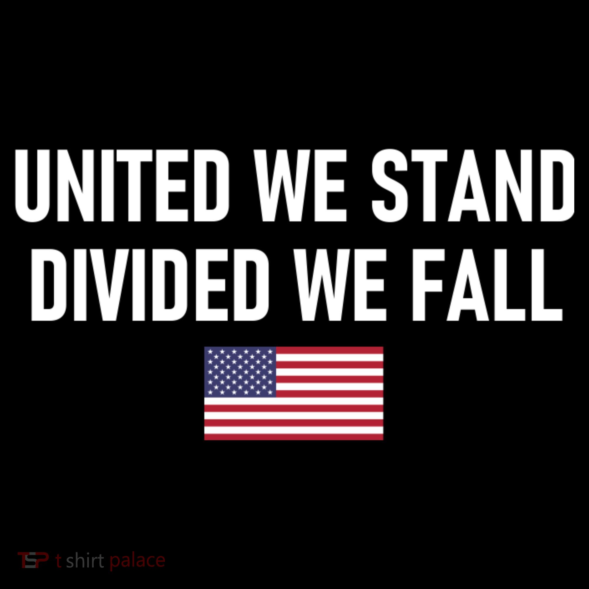 United We Stand Divided We Fall Backpack