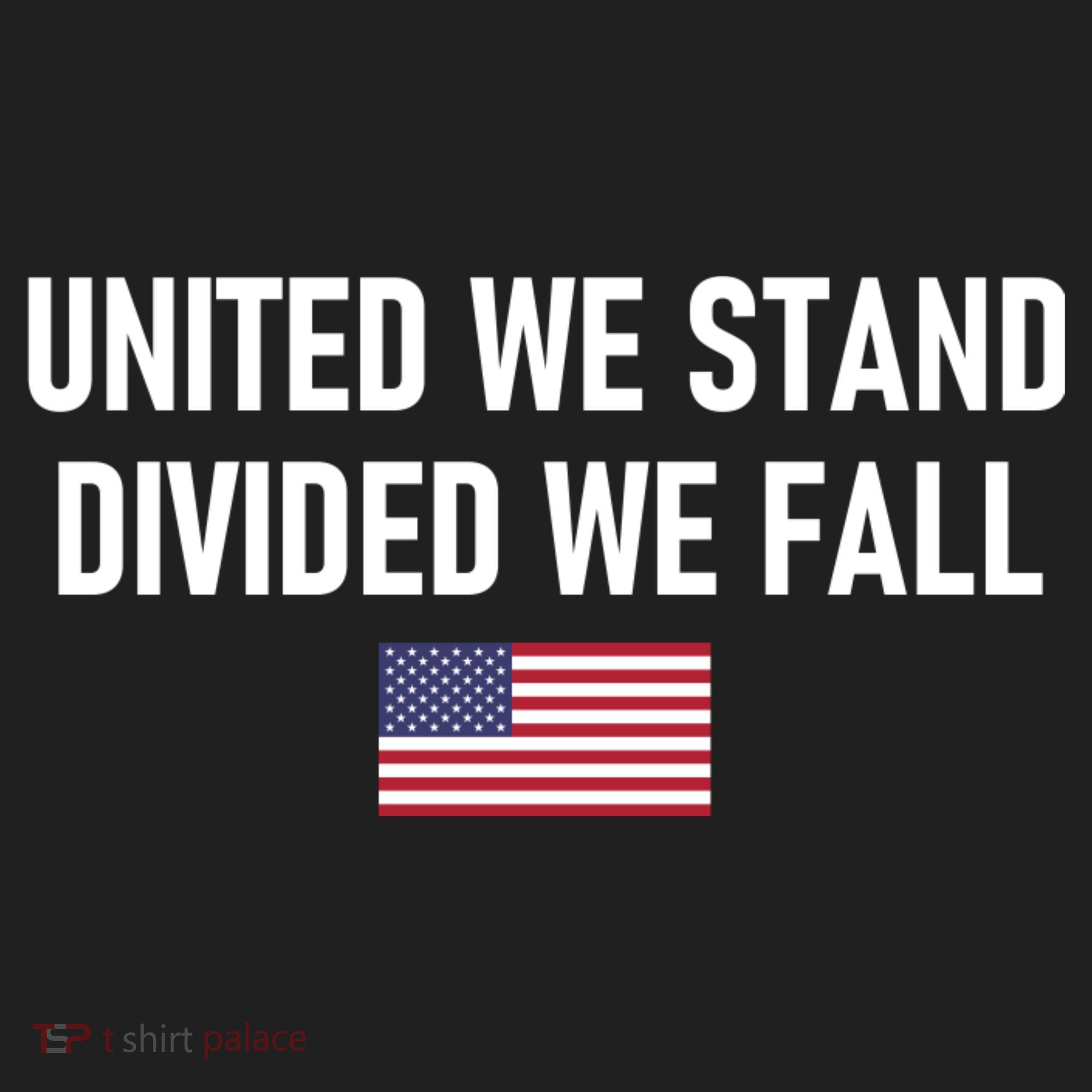 United We Stand Divided We Fall Tumbler