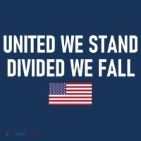 United We Stand Divided We Fall USA-Made Doggie Bandana thumb 2