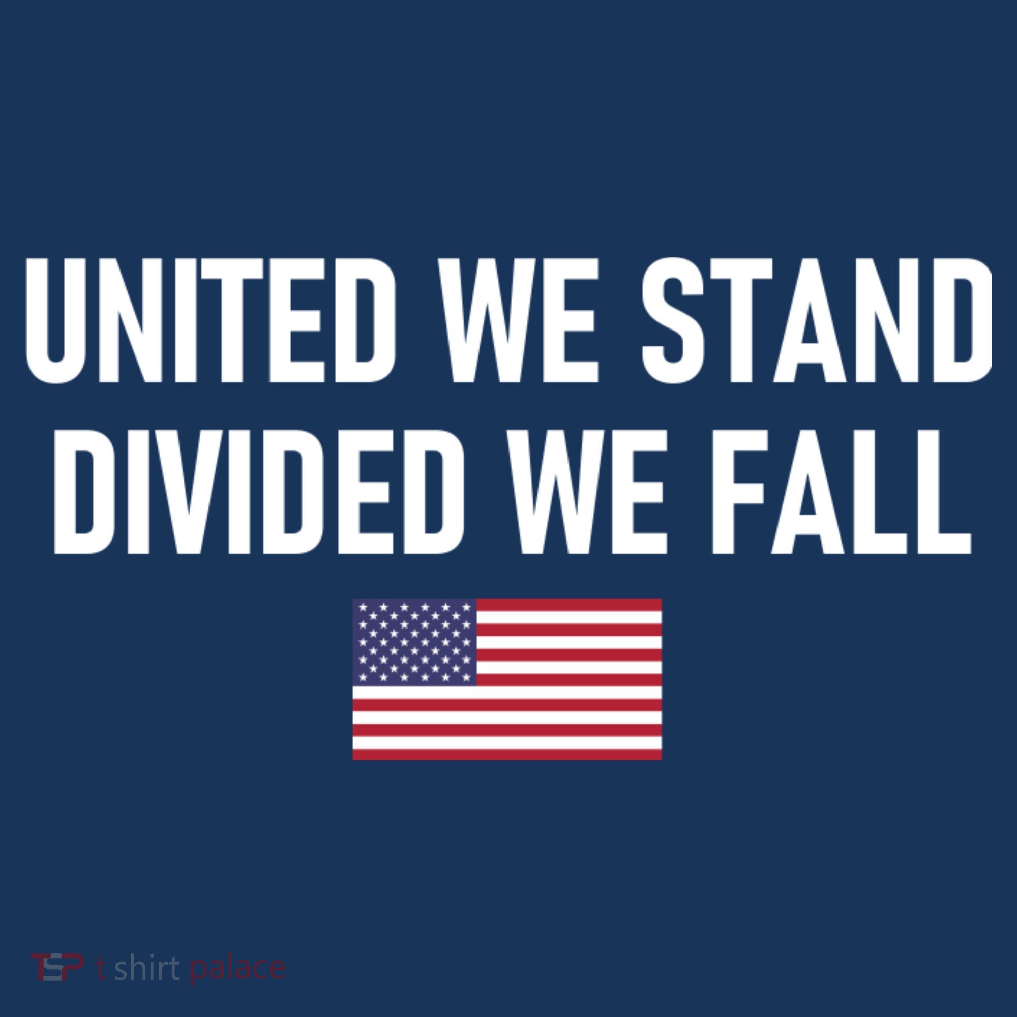 United We Stand Divided We Fall Long Sleeve Shirt