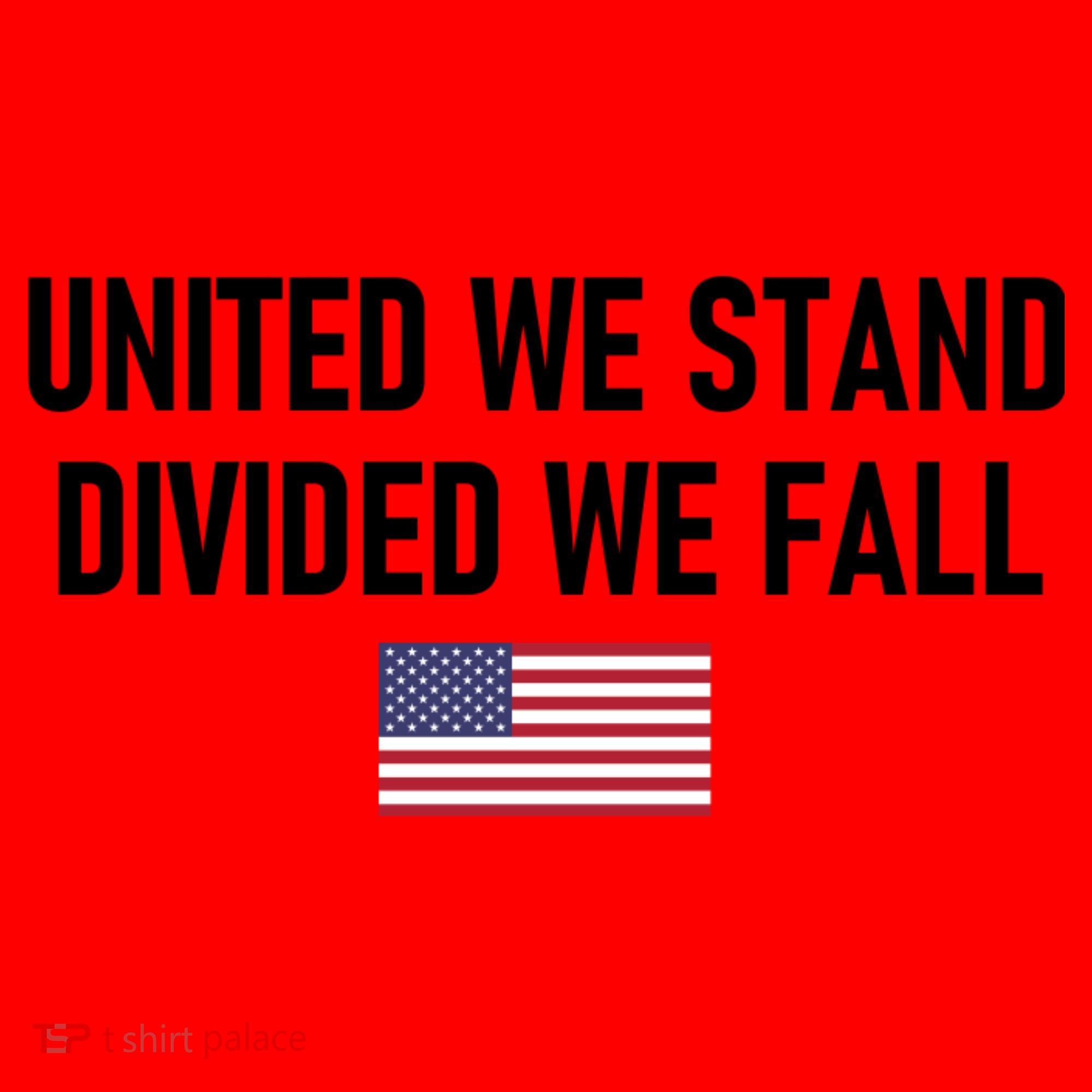 United We Stand Divided We Fall Santa Hat