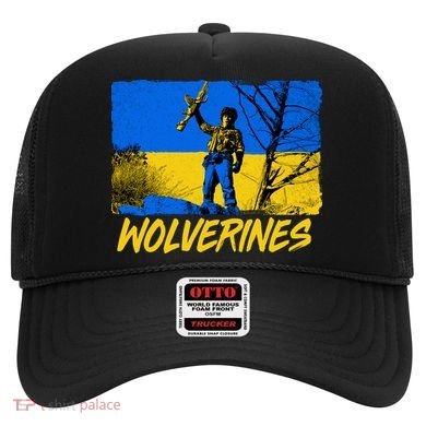 Ukraine Wolverines Hat