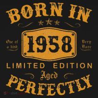 Vintage 1958 Birthday Celebration 65th Year Gift T-Shirt thumb 7