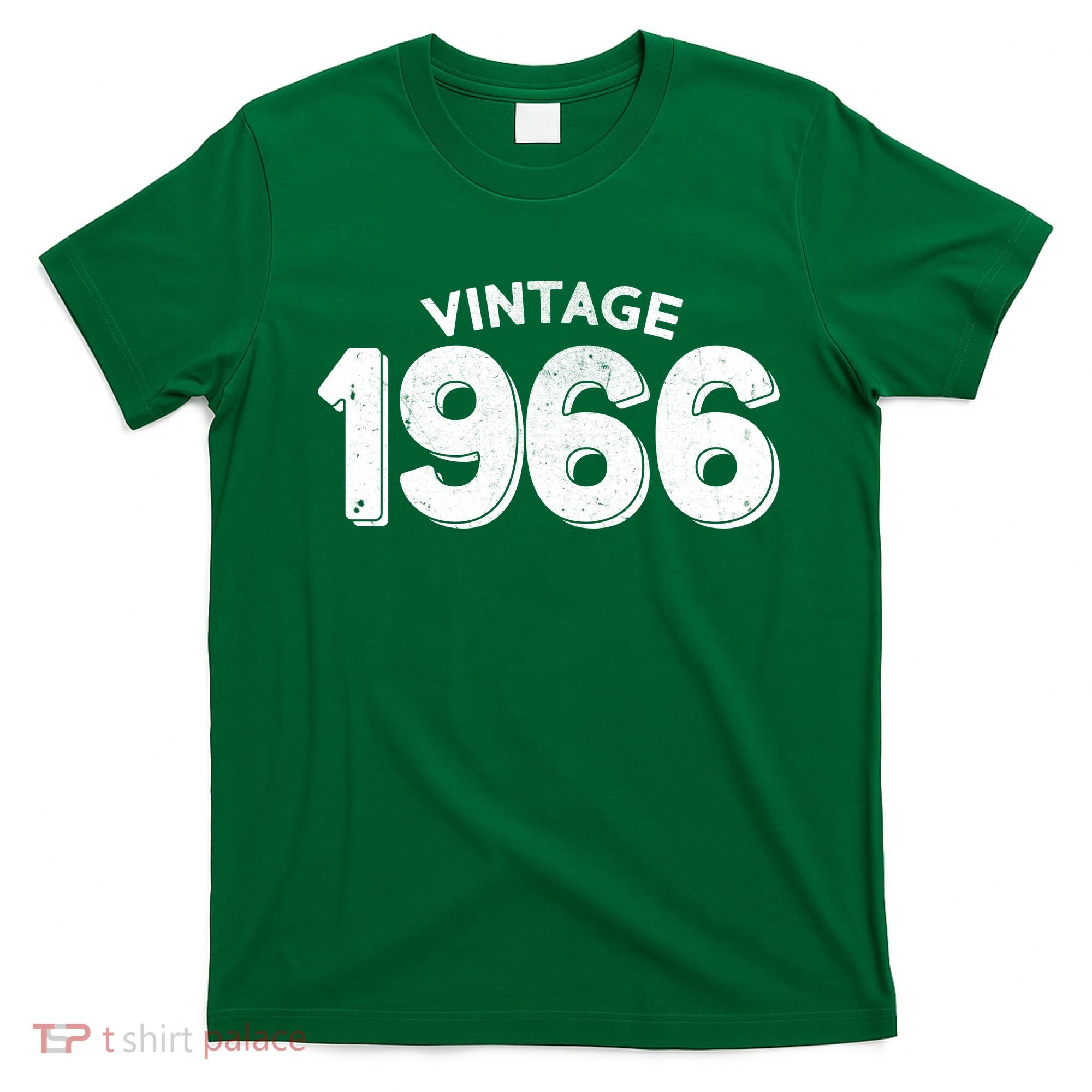 Vintage 1966 Celebrate 60th Birthday T-Shirt