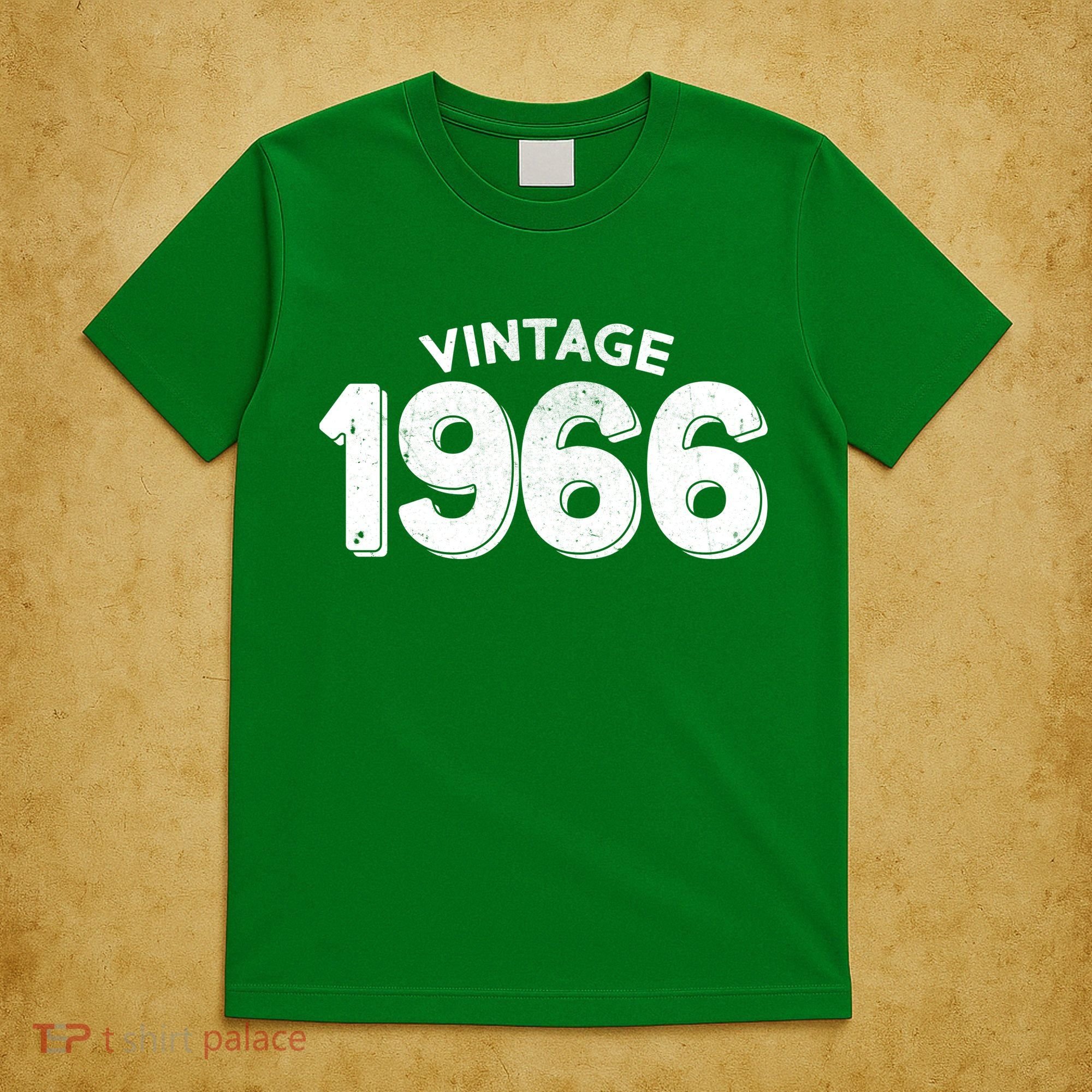 Vintage 1966 Celebrate 60th Birthday T-Shirt