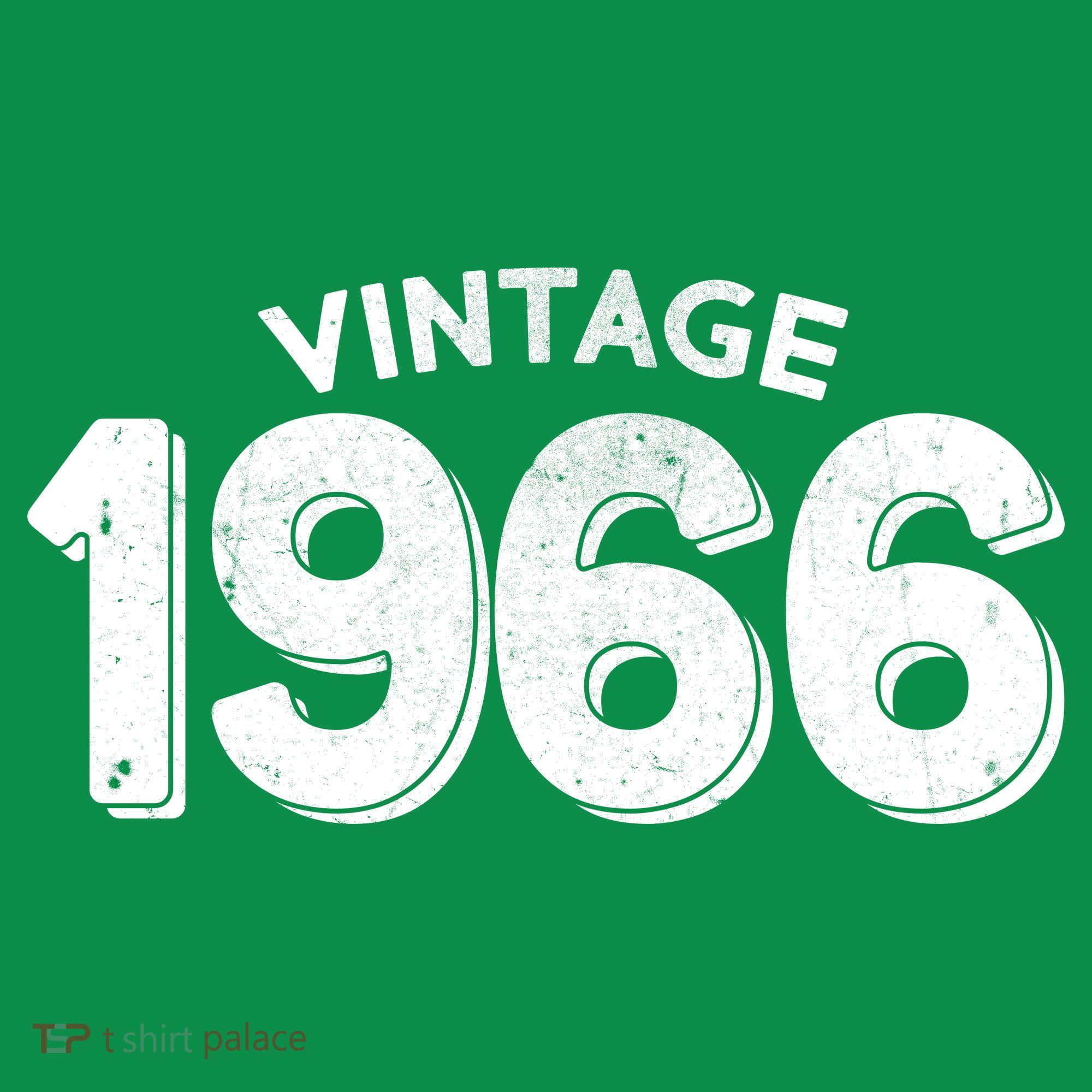 Vintage 1966 Celebrate 60th Birthday T-Shirt