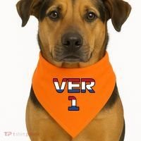 VER 1 Dutch Flag USA-Made Doggie Bandana thumb 1
