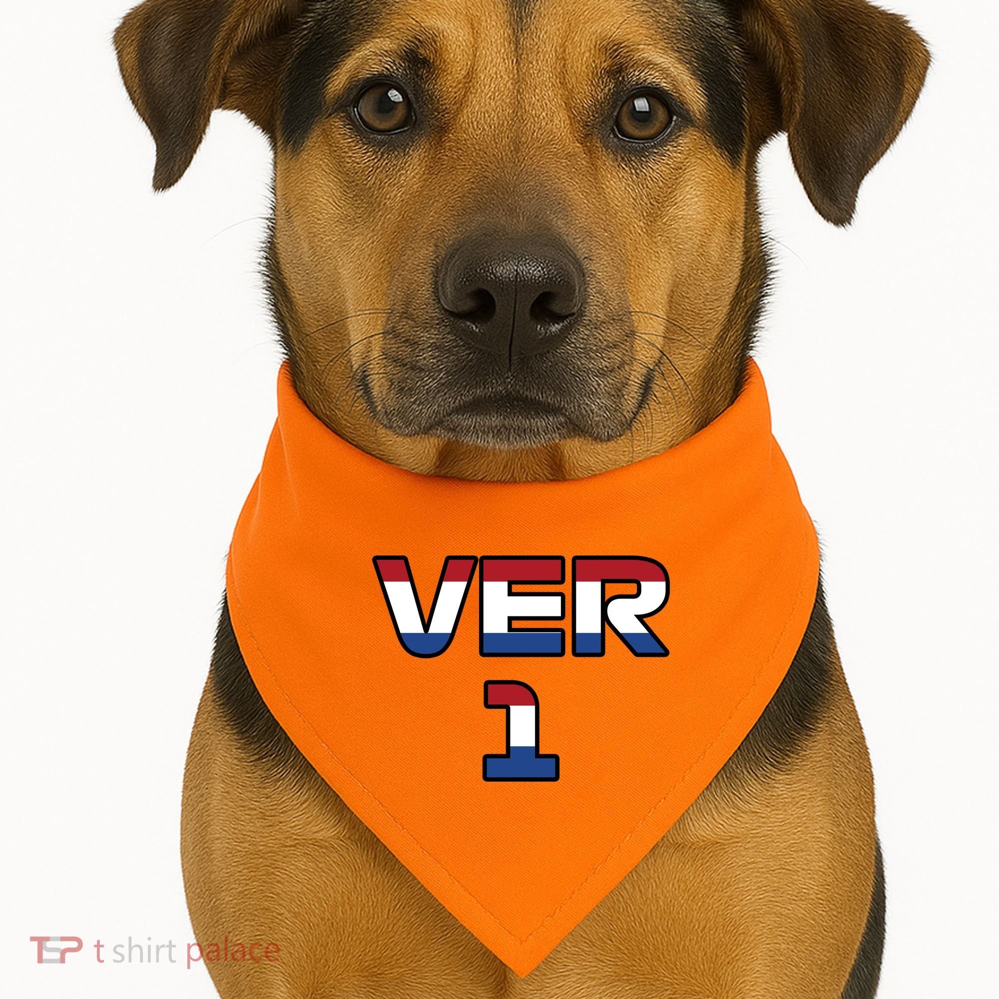 VER 1 Dutch Flag USA-Made Doggie Bandana