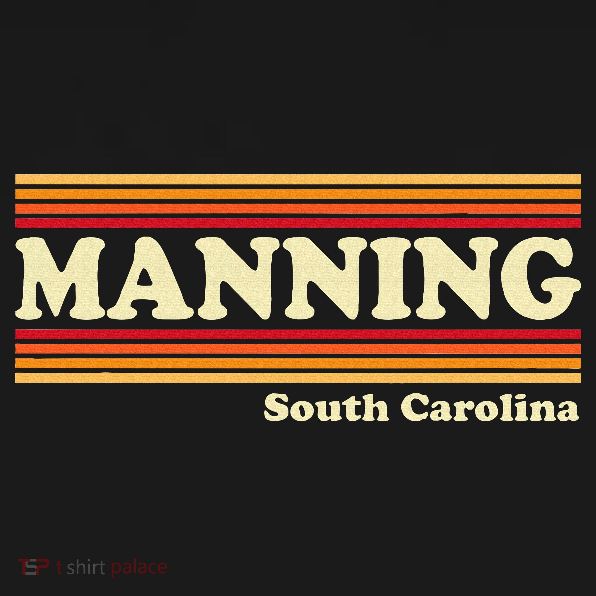 Vintage 1980s Graphic Style Manning South Carolina T-Shirt