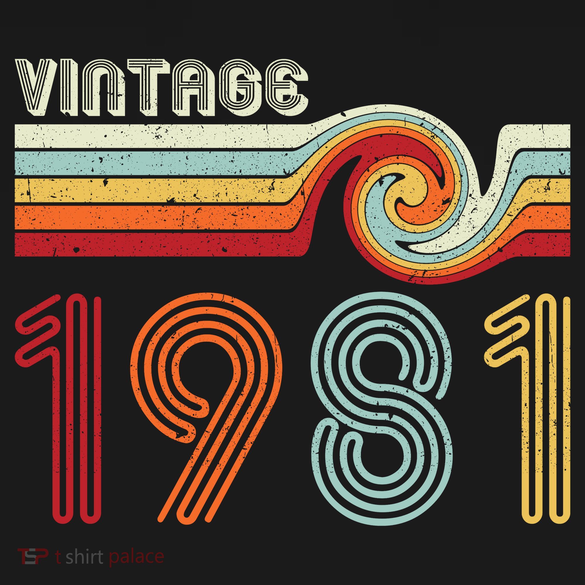 Vintage 1981 Retro Birthday Gift T-Shirt